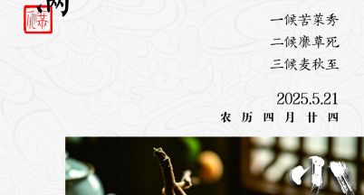 今日小滿
